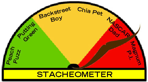 stacheometer-nascar.jpg